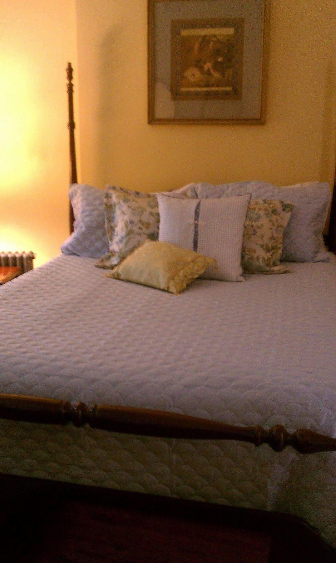 Forget Me Not B & B Saint-Louis Extérieur photo